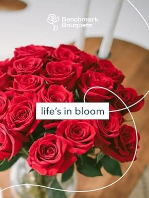 Benchmark Bouquets - 20 Stem Rainbow Mini Carnations (Glass Vase Included) - Fresh Flowers for Delivery - Gift for Birthday, Anniversary, Sympathy, Get Well, Congratulations, Thanksgiving, Christmas