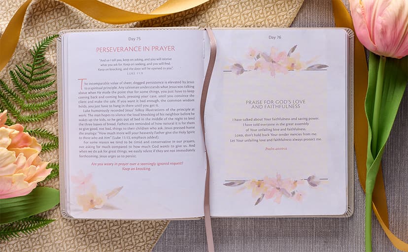 My Quiet Time Devotional - 365 Devotions for Women To Bring You Into The Peace Of The Presence of God Cappuccino, Faux Leather Flexcover Gift Book w/Ribbon Marker