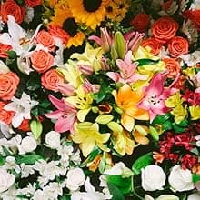 Benchmark Bouquets - 20 Stem Rainbow Mini Carnations (Glass Vase Included) - Fresh Flowers for Delivery - Gift for Birthday, Anniversary, Sympathy, Get Well, Congratulations, Thanksgiving, Christmas