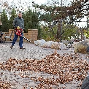 Toro 51619 Ultra Electric Blower Vac, 250 mph, Red