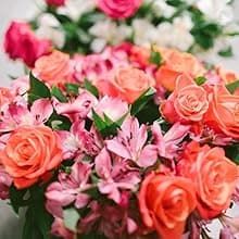 Benchmark Bouquets - Charming Roses & Alstroemeria (Glass Vase Included) - Fresh Flowers for Delivery - Gift for Graduation, Birthday, Anniversary, Sympathy, Get Well, Congratulations