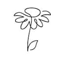 Benchmark Bouquets - 20 Stem Rainbow Mini Carnations (Glass Vase Included) - Fresh Flowers for Delivery - Gift for Birthday, Anniversary, Sympathy, Get Well, Congratulations, Thanksgiving, Christmas