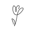 Benchmark Bouquets - 20 Stem Rainbow Mini Carnations (Glass Vase Included) - Fresh Flowers for Delivery - Gift for Birthday, Anniversary, Sympathy, Get Well, Congratulations, Thanksgiving, Christmas