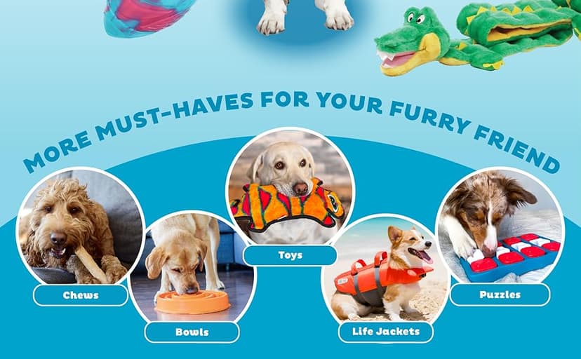 Outward Hound, Hedgehogz Plush Dog Toy, Medium