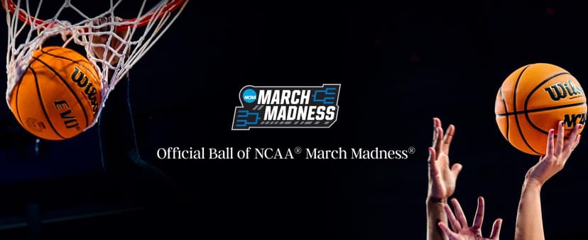 Wilson NCAA Final Four Basketball - 29.5" and 28.5"