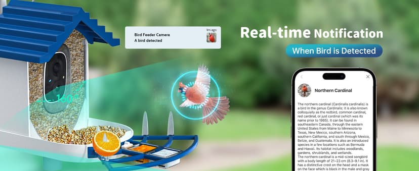 Smart Bird Feeder with Camera Solar Powered & AI Bi rd Identification, 2.4Ghz WiFi Bird feeders for Outdoors, 2K Live Video, Nstant Arrival Alerts - Gifts for Women