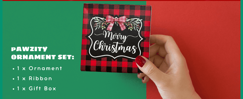 Best Friend Ornaments for Christmas Tree - Bestie Gifts - Friendship Christmas Ornaments - Acrylic Ornament