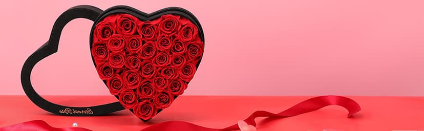 Christmas Flowers Roses Gifts for Mom,Forever Real Preserved Roses in Glass Dome,Christmas Anniversary Thanksgiving Gifts for Wife Girlfriend Women Best Friend Grandma/Purple Rose