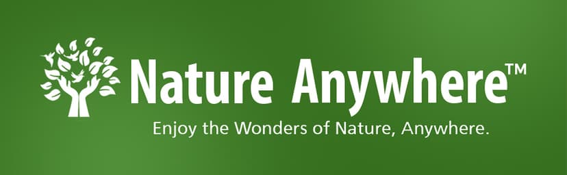 Nature Anywhere Window Bird Feeder - Transparent Acrylic Bird Feeders for Outdoors - Enhanced Suction Grip, Bird Watching for Cats, Easy-to-Clean, Outdoor Birdhouse Feeder (1 Unit)