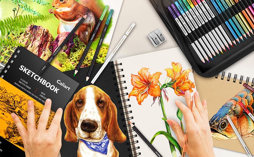 Caliart 176PCS Art Supplies Sketching Kit with 100 Sheets 3-Color Sketch Book, Graphite Colored Charcoal Watercolor & Metallic Pencils, School Supplies Gifts for Artists Adults Teens Girls Boys Kids