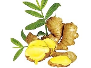 Massage Oil for Massage Therapy,Lymphatic Drainage-Ginger Oil Sore Muscle Arnica Oil &Lavender Oil Relaxing Massage Oils for Date Night,Massage Ball,Fathers Day Gift for Husband,Men, Gifts for Him Her