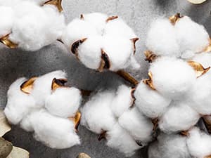 Homsolver Gifts for Grandma from Granddaughter Grandson, Christmas, Birthday, Mother and Grandparents Day, Lavender Scented Candles, Grandma’s Last Nerve