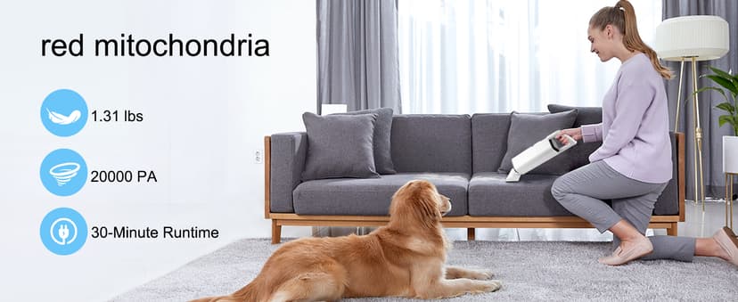 Cordless Vacuum Cleaner Handheld - 20000Pa Powerful Suction, 2-Speed Hand Vacuum Cordless Rechargeable for Car, Pet Hair, Stairs, Carpet, Couch - Portable Vac with HEPA Filter & 4 Attachments