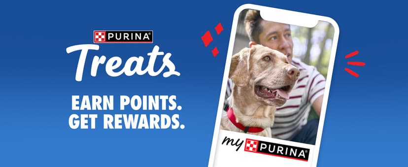 Purina Busy Bone Adult Dog Chew Bone Treats, Peanut Butter - 10 ct. Pouch