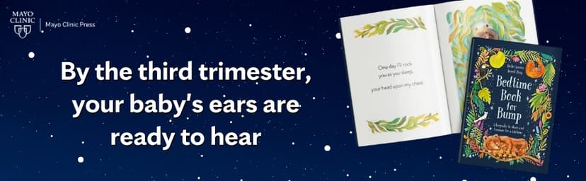 We're Pregnant! The First Time Dad's Pregnancy Handbook