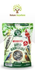 Nature Anywhere Window Bird Feeder - Transparent Acrylic Bird Feeders for Outdoors - Enhanced Suction Grip, Bird Watching for Cats, Easy-to-Clean, Outdoor Birdhouse Feeder (1 Unit)