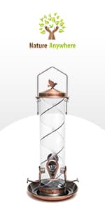 Nature Anywhere Window Bird Feeder - Transparent Acrylic Bird Feeders for Outdoors - Enhanced Suction Grip, Bird Watching for Cats, Easy-to-Clean, Outdoor Birdhouse Feeder (1 Unit)