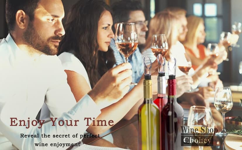 Wine Chiller - Wine Cooler Stick, 3 in 1 Stainless Steel Wine Bottle Chiller with Aerator and Pourer, The Best Holiday Gifts.