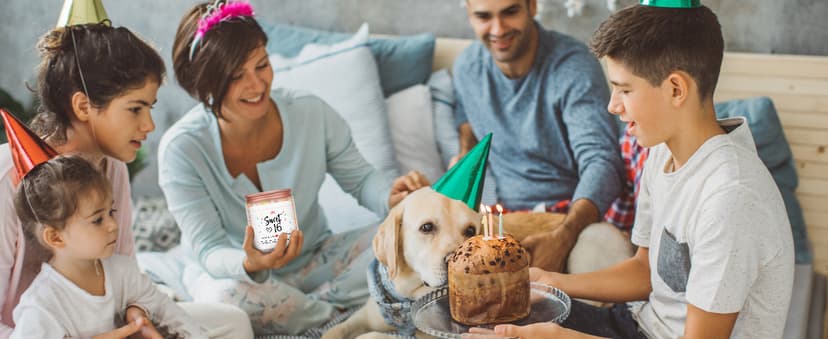 Homsolver 16th Birthday Gifts for Girls, Vanilla Cream Scent Best Ideas Birthday Presents for Daughter, Friends, Sister, Handmade Aromatherapy Candle Decorations