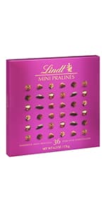 Lindt Mini Pralines, Assorted Chocolate Pralines with Premium Filling, Perfect for Mother’s Day Gifting, 6.2 oz Box