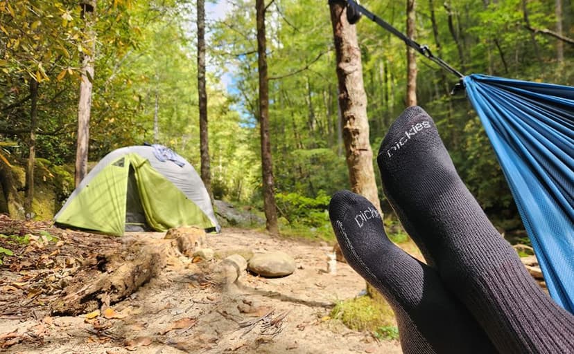 Dickies Men's Dri-Tech Original Moisture Control Crew Socks, Available in M-XXL (6, 12, 18 Pairs)