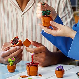 LEGO Botanicals Tiny Plants - Artificial, Fake Indoor Plant Building Set for Home, Kitchen, Desk Decoration, Adults Ages 18+ - Gift for Birthdays - 10329