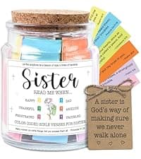 NewEleven Sister Birthday Gifts - Gift For Sister, Soul Sis, Sisters In Law - Sisters Gifts From Sister, Brother, Friend, Family - Decorative Glass Scripture Jar With 92 Bible Verse