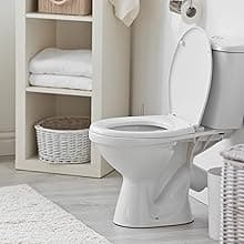 Bath Royale MB0904MB Vacuum Breaker, Matte Black