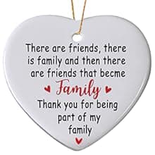 Sister Christmas Ornaments 2025,Sister Ornament for Christmas Tree,Best Sister Gifts,Friends Ornaments for Women,Friendship Gift for My Sister