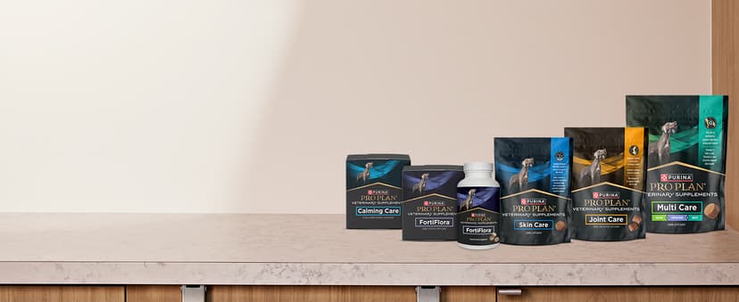 Purina Pro Plan Veterinary Supplements FortiFlora Dog Probiotic Supplement, Canine Nutritional Supplement - 30 ct. Box