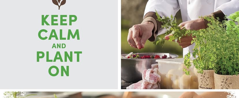 greenoak Heated Blanket Electric Throw, Soft Fleece Heating Blanket with 10 Heat Levels, 8 Hours Auto-Off, Christmas Gifts for Grandma/Seniors/Mom, Misty Grey, 50"X60"