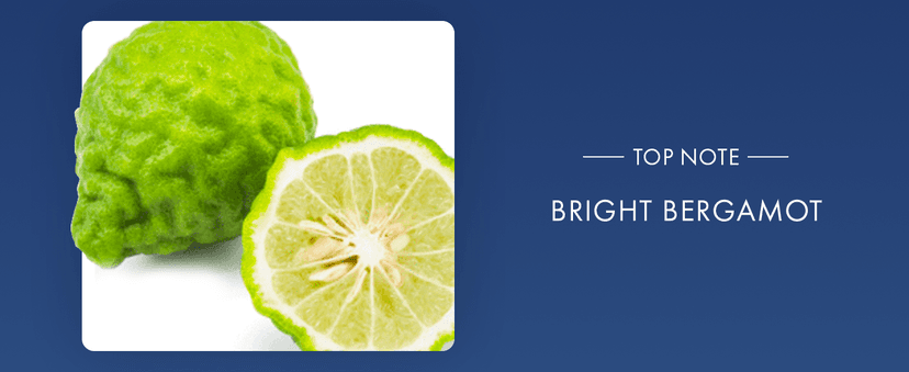 Azzaro Chrome Eau de Toilette - Fresh Aquatic Mens Cologne - Citrus, Woody, Musky Fragrance -Fresh Notes of Bergamot - Everyday Wear - Classic Summer Beach Scent - Luxury Perfumes for Men