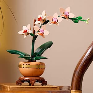 LEGO Botanicals Mini Orchid Building Set - Artificial, Fake Orchid for Home Decor, Adults Ages 18+ - Gift for Birthdays - Indoor Plant Decorations for Table, Desk, Office - 10343