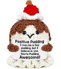 Friend Birthday Gifts for Women Friendship Best Friend Soul Sister Female Bestie BFF, Mothers Day Christmas Valentines Gifts Friends Forever Inspirational Cheer up Thank You Friend Plaque