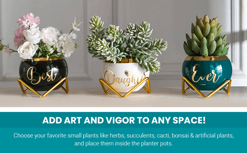 Daughter Gifts from Mom, Birthday Gift for Daughter, Mother Daughter Gifts, Happy Birthday Daughter, Best Daughter Ever Gift, Daughter In Law Gifts, Birthday Gifts for Daughter Adult, 3 Succulent Pots