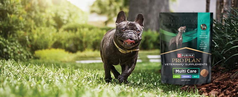 Purina Pro Plan Veterinary Supplements FortiFlora Dog Probiotic Supplement, Canine Nutritional Supplement - 30 ct. Box