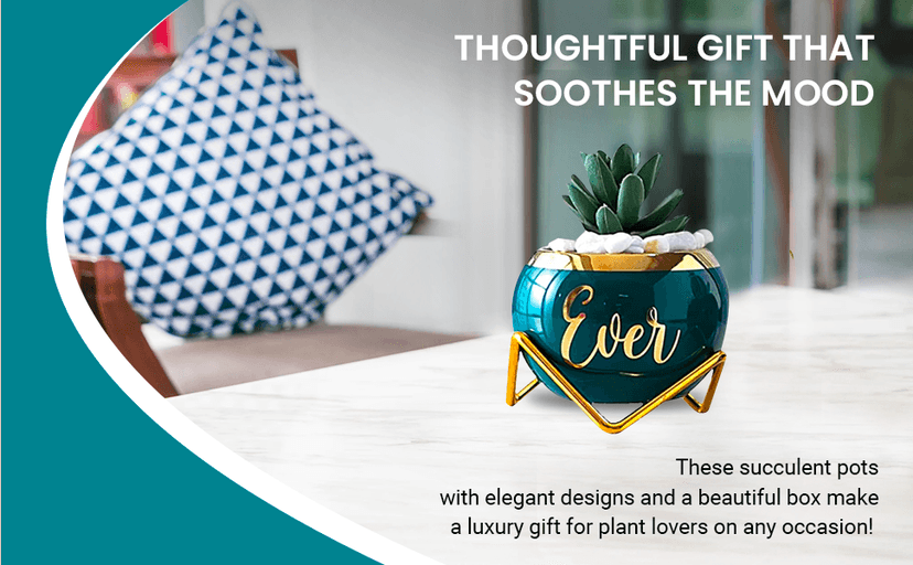 Daughter Gifts from Mom, Birthday Gift for Daughter, Mother Daughter Gifts, Happy Birthday Daughter, Best Daughter Ever Gift, Daughter In Law Gifts, Birthday Gifts for Daughter Adult, 3 Succulent Pots