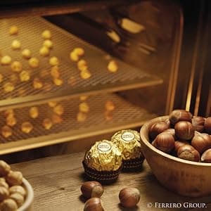 Ferrero Collection Grand Assortment, Hazelnut, Dark, Coconut, Almond, Cappuccino, Holiday Gift Box, 24 Count, 8.7 oz