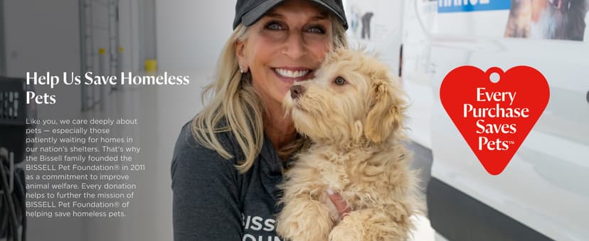 BISSELL Little Green HydroSteam Multi-Purpose Portable Carpet and Upholstery Cleaner, Car and Auto Detailer, 3618