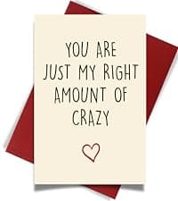 Cheerin Funny Greeting Card with Envelope - Anniversary Card - Romantic Birthday Card - Hilarious Gifts for Him Her Girlfriend Boyfriend Wife Husband