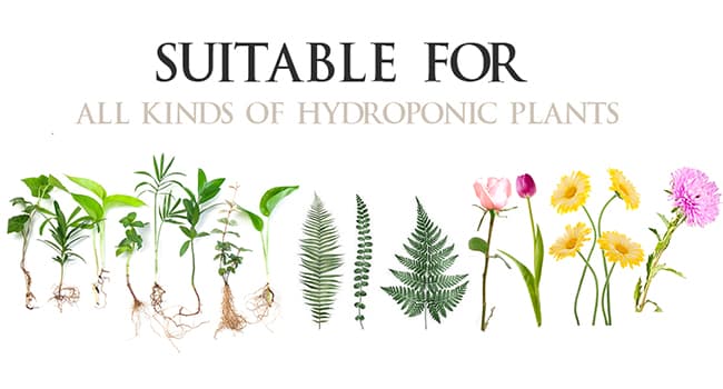 XXXFLOWER Plant Terrarium with Wooden Stand, Air Planter Bulb Glass Vase Metal Swivel Holder Retro Tabletop for Hydroponics Home Garden Office Decoration - 3 Bulb Vase