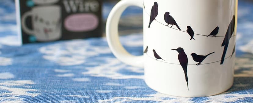The Unemployed Philosophers Guild Birds on a Wire Heat Changing Mug - Add Coffee and Colorful Birds Appear, Comes in a Fun Box