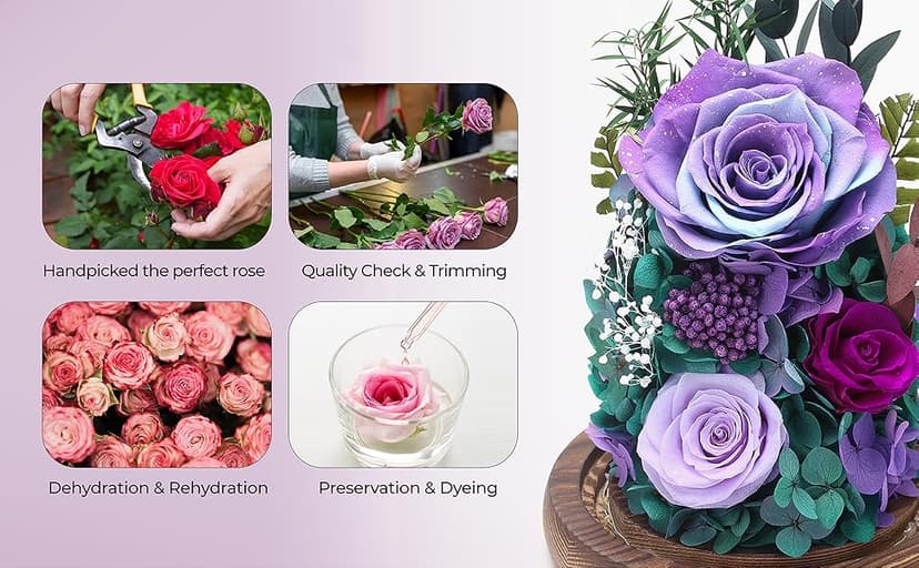 Dsuto Forever Fresh Flowers Bouquet in Glass Dome with Light, Preserved Purple Roses Gifts for Women on Birthdays, Anniversaries, Christmas, Valentine’s Day & Mother’s Day