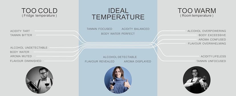 Electric Wine Chiller, Single Bottle Cooler for 750ml Wine or Some Champagne,Stainless Steel Iceless Cooler Keep Cold Up to 24h,Kitchen,Bar and RV Vino Accessory,Gift for Vino Lover