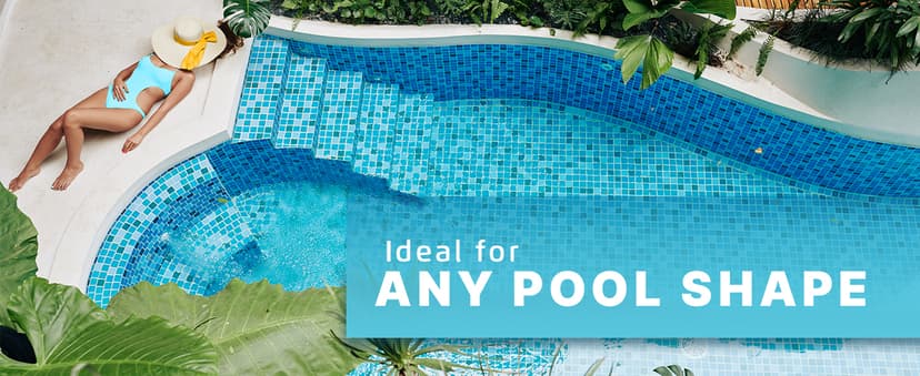 Dolphin Nautilus CC Automatic Robotic Pool Vacuum Cleaner, Wall Climbing Scrubber Brush, Top Load Filter Access, Ideal for Above/In-Ground Pools up to 33 FT in Length