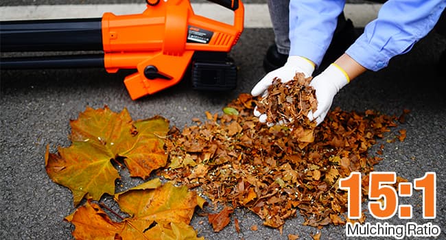 AIVOLT Brushless Leaf Blower Vacuum Mulcher 40V, Cordless Leaf Vacuum with 40L Bag, Turbo Power, 2x4.0Ah Batteries & Charger, 3-in-1 for Lawn Care, Patio Cleaning