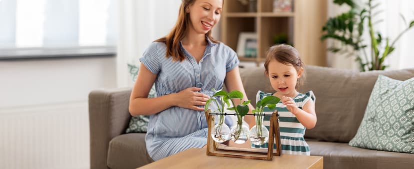 XXXFLOWER Plant Terrarium with Wooden Stand, Air Planter Bulb Glass Vase Metal Swivel Holder Retro Tabletop for Hydroponics Home Garden Office Decoration - 3 Bulb Vase