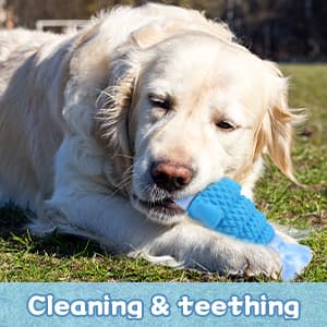 WinTour Tough Dog Toys for Aggressive Chewers, Indestructible Dog Chewers for Medium & Large Breeds, Squeaky Durable Chew Toys to Keep Them Busy, Reduce Boredom, Teeth Cleaning, Bacon Flavor