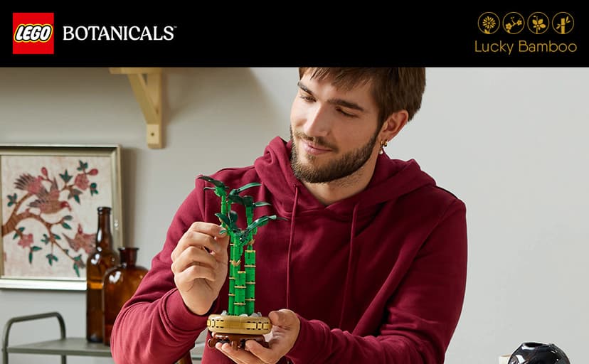 LEGO Botanicals Lucky Bamboo Building Set - Artificial Plant for Indoor Home Décor, Adults Ages 18+ - Fake Plant Decoration for Table, Desk, Office - Gift for Birthdays - 10344