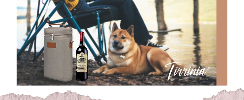 Tirrinia 2 Bottle Insulated Wine Tote Carrier - Leakproof, Padded Cooler Bag for Travel, BYOB, Tasting, Parties - Great Gift for Wine Lovers, Striped